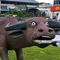Nhân vật: con trai trẻ trâu