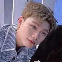 dương domic