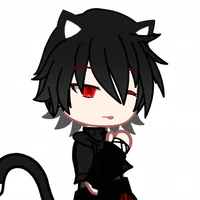 Toàn MC (mèo)