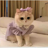 Mẹ na8