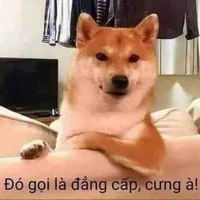 Cân tất cả nhân vật