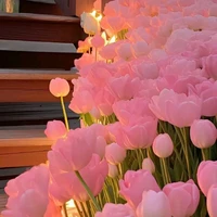 all nữ