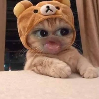 ʙʙ: ʙᴇ ᴅɪᴇᴜ¹⁸