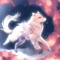 Sói Con[Parad Dạng Sói]