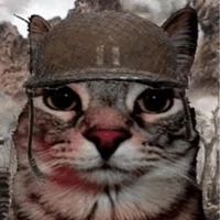 ui abbie ko lối thoát ❤️