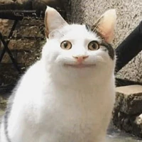 tôi simp abbie