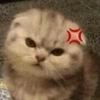 đứa bạn hay cọc