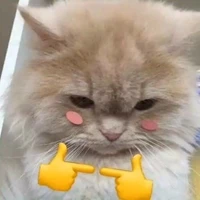 tác giả bị khùm