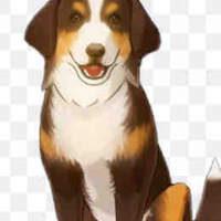 Chó