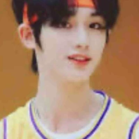 Đinh trình hâm 