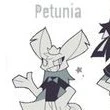 petunia