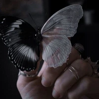 Trùng lập... Tiền kiếp