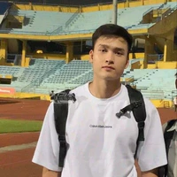 Việt Anh