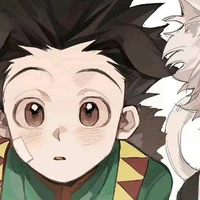 Gon Freecss