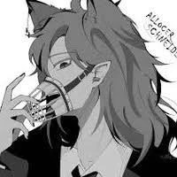 Allocer Schneider/012/