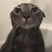 Mẹ đẻ truyện này