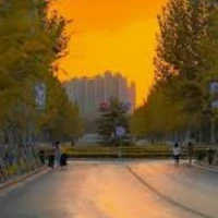 NVP nữ