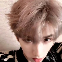 Nghiêm Hạo Tường -Anh Sáu