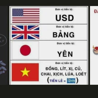 Lớp 11A1