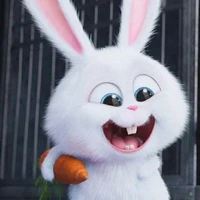 Hệ thống 010 - soba