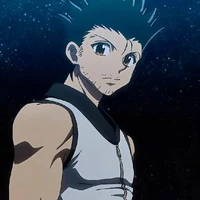 Ging Freecss