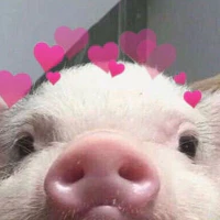 tác giả cutenhattg