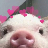 tác giả cutenhattg