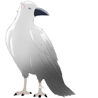 Aki(quạ của Yuki)