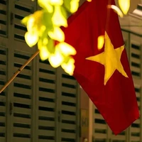 Tác giả - đạo diễn