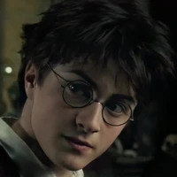 Harry potter ⚡🦁