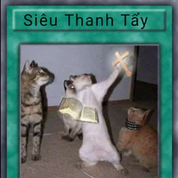 cả đám Y Tá