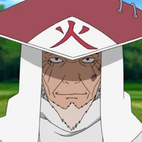 Sarutobi Hiruzen ( Đệ tam )