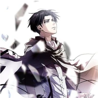 Ackerman Levi / Heishichou