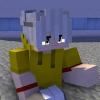 vid
