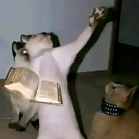 tác giả chơi ngu số 1:)))