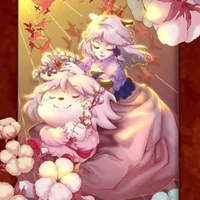 cừu ấm áp