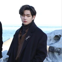 Kim Taehyung ( anh )