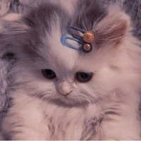 ờm thì tác giả nè:))