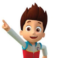 Ryder