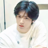 Lưu Diệu Văn