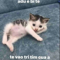 tác giả 
