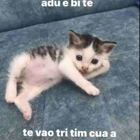 tác giả 
