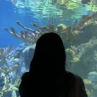 Lạc Tranh (Quản lý ONETEE)