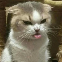 Meow(Prem)
