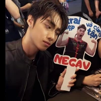 hải đăng doo🐬