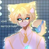 anti catnap