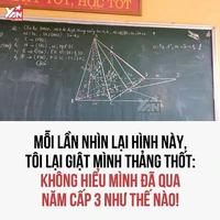 lớp 11F7