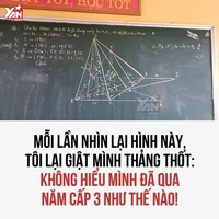 lớp 11F7