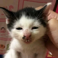 All:Trừ những người cần trừ