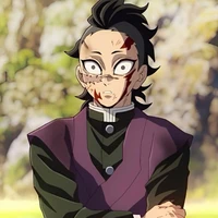 Shinazugawa Sanemi